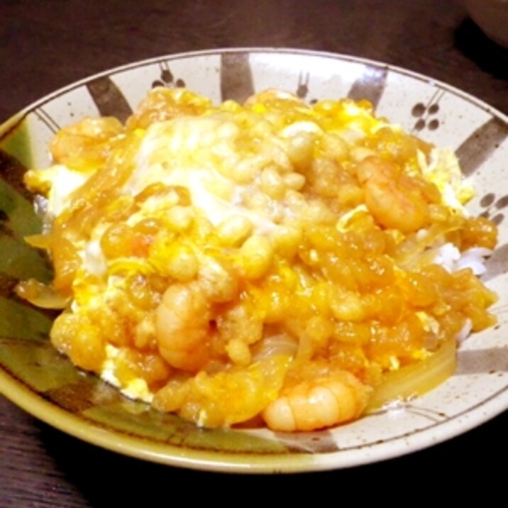 揚げずに簡単！天とじ丼・テキーナ